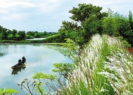 杭州西溪溼地公園旅遊攻略大全