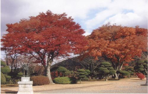 井岡山風景區內景點介紹