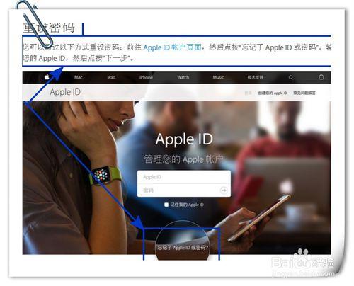 蘋果ID忘了密碼怎麼辦？