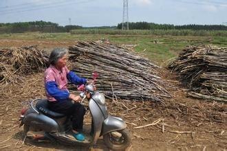 老人騎電動車如何保暖