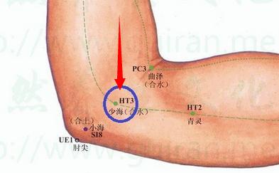 少海穴穴位位置圖及作用