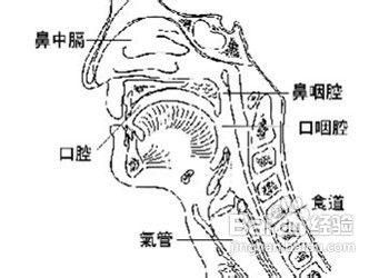 鼻咽癌的臨床表現有哪些？