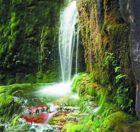 怎樣安排雲臺山旅遊的行程