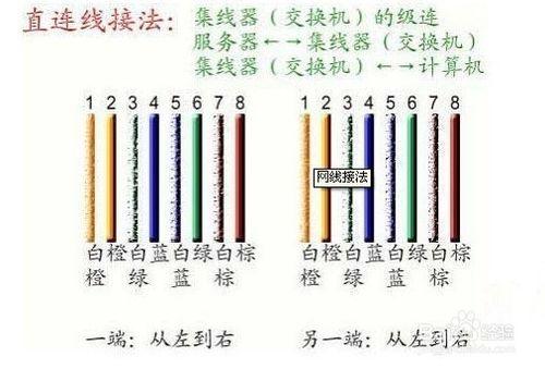 怎麼製作網線。