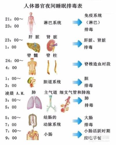 女性睡美容覺最佳時間及要注意的問題