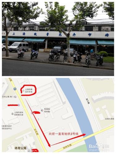 上海批發市場--鮮花苗木批發市場篇