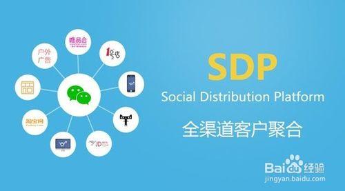 SDP電商怎麼玩？