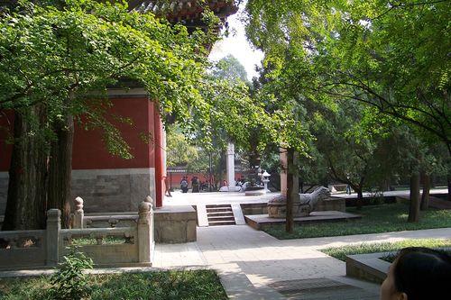 幾月去北京植物園踏青最合適