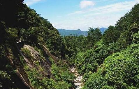 麗水大漈和龍泉山旅遊經驗