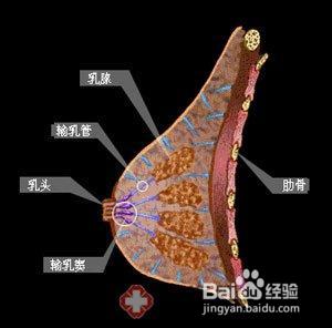 怎樣治療乳腺增生