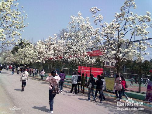 安徽科技學院校園功能區域介紹（東校區）