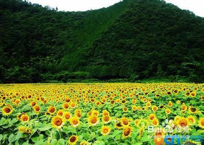 廣州之旅：[4]廣州番禺南沙三日遊