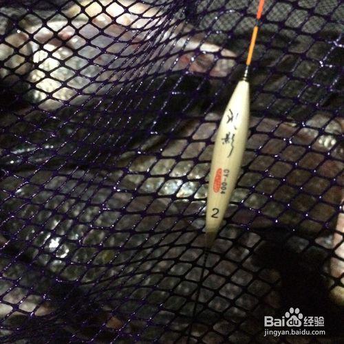 釣魚郎談釣魚高手進階之魚情的觀察