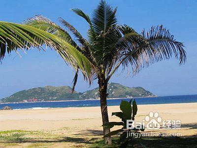 夢幻海南6日遊日程安排