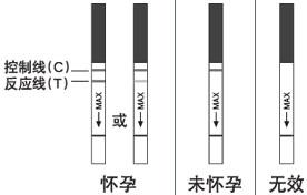 怎樣排卵試紙測出早孕