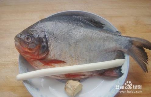 清蒸鯧魚美味不油腥小妙招