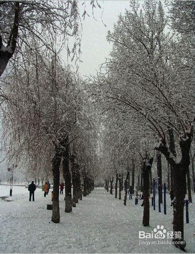 怎樣用PS製作雪花飄舞效果