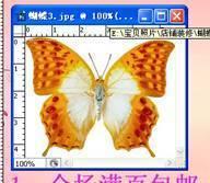 PS製作網店促銷GIF動態圖片淘寶店鋪裝修教程