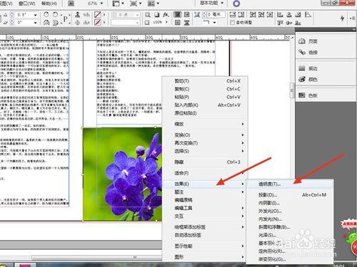 InDisign CS5 怎麼插入圖片