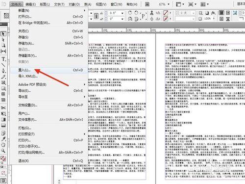 InDisign CS5 怎麼插入圖片