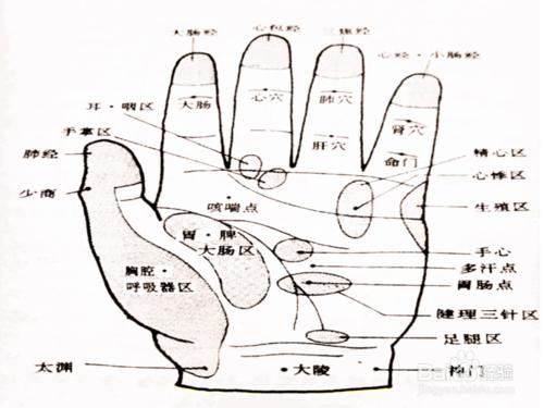 減肥的3個好方法