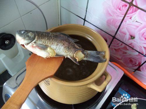 營養靚湯—— 紅棗鯽魚木瓜湯