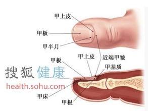 12種暗示你可能已生病的現象