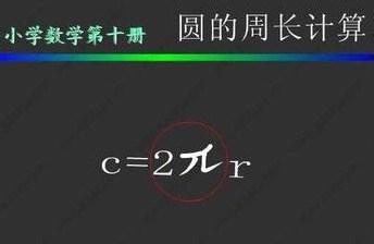 燙髮技巧之長度設定