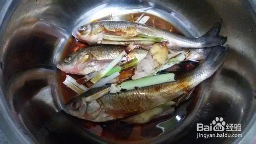 夏季的海鮮美味——紅燒華子魚