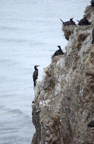 怎樣安排青海旅遊的行程