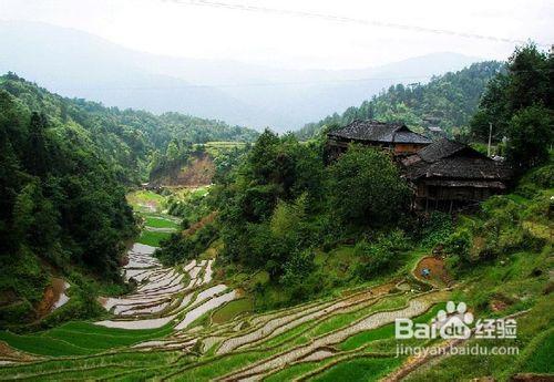 漠河最全旅遊攻略