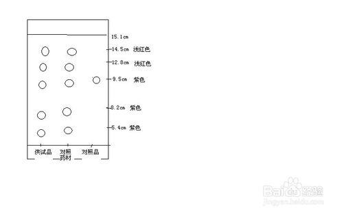 細辛TLC實驗過程