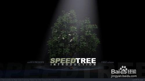 Speedtree Cinema 7.0 安裝及破解