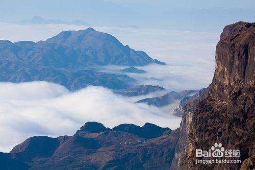 雲南大山包 黑頸鶴之鄉