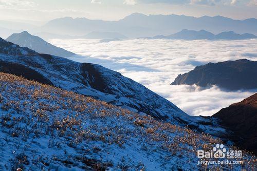 雲南大山包 黑頸鶴之鄉