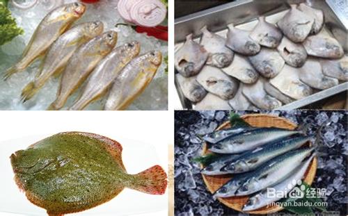 日常多食水產品，健康快樂又長壽 ——深海魚篇