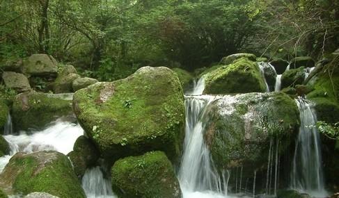 寶雞紅河谷旅遊經驗