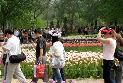 五月北京植物園賞花攻略