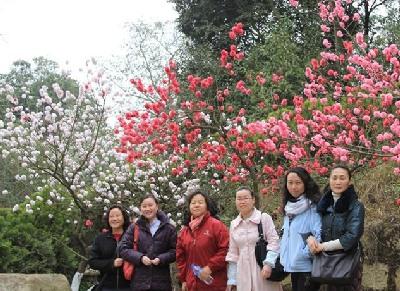 五月北京植物園賞花攻略