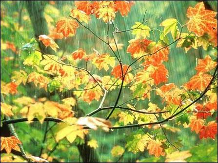 怎樣拍攝雨景