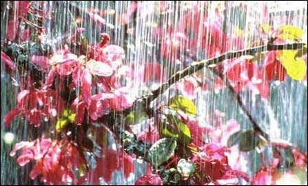 怎樣拍攝雨景