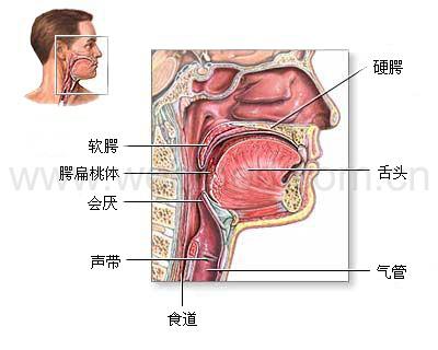 睡覺打呼怎麼辦