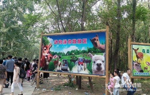 節假日去哪兒玩兒：[1]大興野生動物園