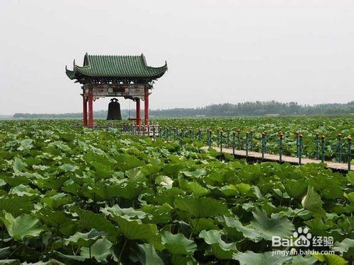 廣州的湖麗風景——4大人工湖