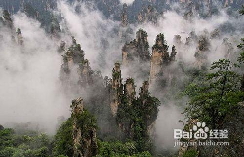 湖南張家界旅遊—重慶到張家界火車四日遊