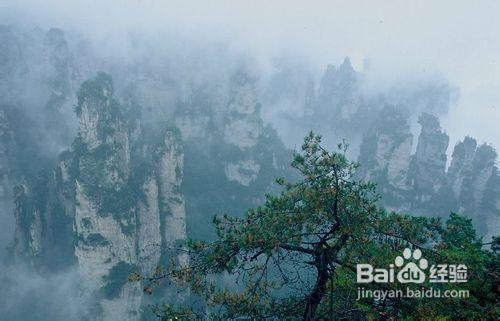 湖南張家界旅遊—重慶到張家界火車四日遊