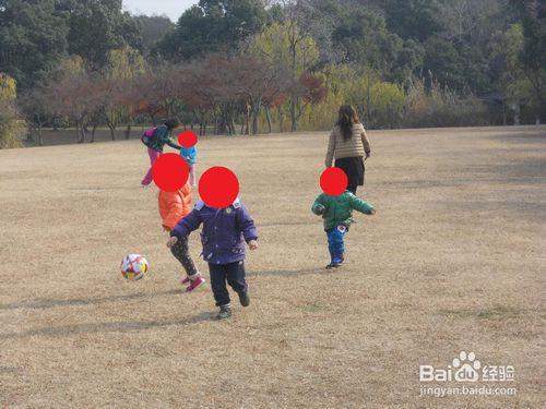 上海公園行：[12]松江方塔園