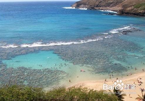 夏威夷旅行玩轉夏威夷的幾個選擇