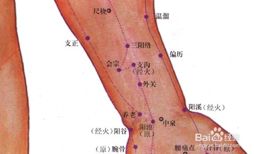 手太陽小腸經圖解