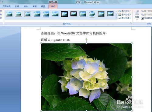 在Word2007文件中如何裁剪圖片